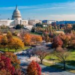 Nephrology Job Washington DC 2